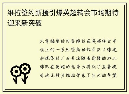 维拉签约新援引爆英超转会市场期待迎来新突破 维拉签约新援引爆英超转会市场期待迎来新突破